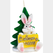Свеча Кролик с открыткой 9х6 см (9083756)