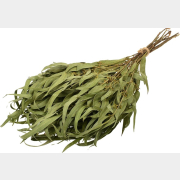 Веник HOT POT эвкалиптовый (34152)