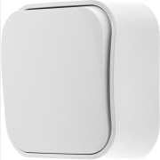 Выключатель одноклавишный открытый LEIDEN ELECTRIC Bailly белый (806001)