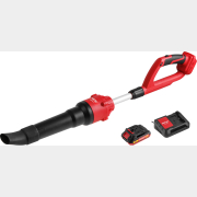 Воздуходувка аккумуляторная WORTEX BB 2018-1 D XLT SET (1334646)