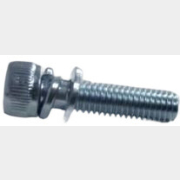 Винт с шайбой и гровером M5х25 с шайбой и гровером для триммера/мотокосы ECO (GTP-SM5*25)