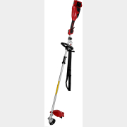 Триммер аккумуляторный WORTEX TB 3036-1 ALL1 XLT SOLO (1334871)