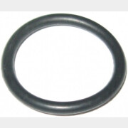 Кольцо для насоса ECO GFI-11P (STP50-04)