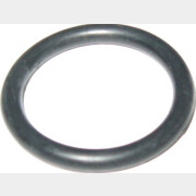 Кольцо для насоса/насосной станции ECO GFI-904 (jet100l-09)