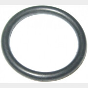 Кольцо для насоса/насосной станции ECO GFI-904 (jet100l-07)