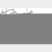 Ручка стартера для двигателя 168F/170F/177F/188F (FMS-01216)