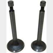 Клапан впускной и выпускной для двигателя ECO 156F комплект (FMS-01235)