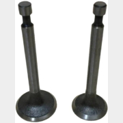 Клапан впускной и выпускной для двигателя ECO 156F комплект (FMS-01235)