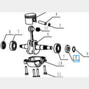 Сальник коленвала для цепной пилы RIPARTS (CSP-SMS180-57-1)